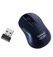 Quantum Wirlwss Mouse